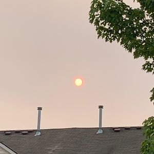 Meet your Posher, Alivia